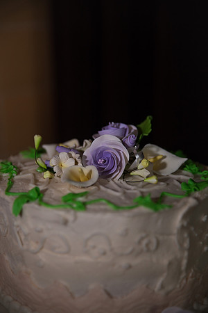 St. Paul Wedding Photographer | CAKE!
