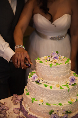 St. Paul Wedding Photographer | Cake Cutting