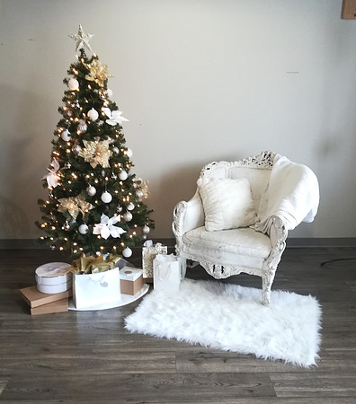 Christmas at Memories in Time Photography